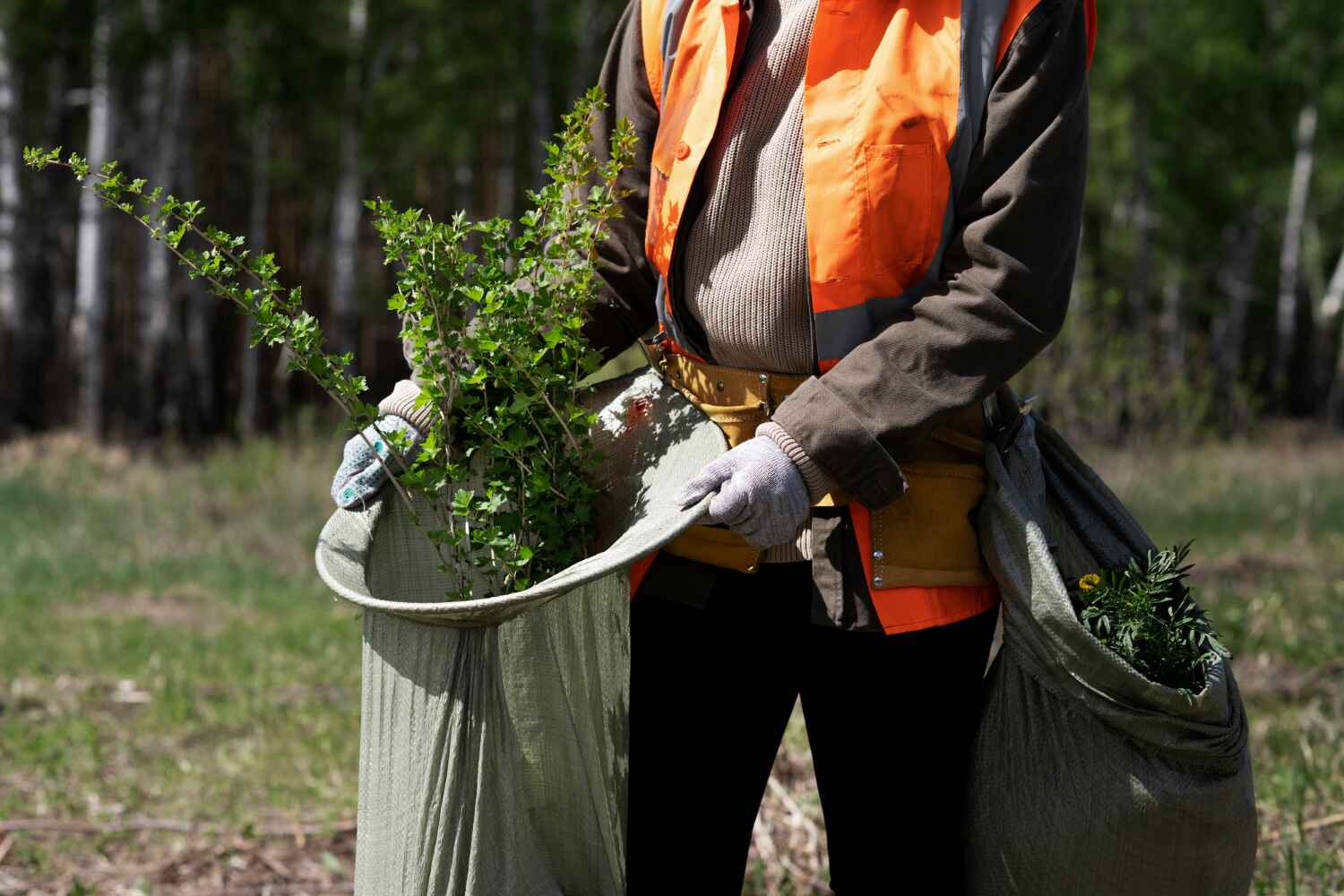 Best Residential Tree Removal  in Evart, MI